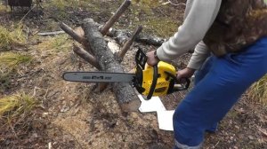 Обзор,обкатка китайской бензопилы-ЧЕМПИОН 254.