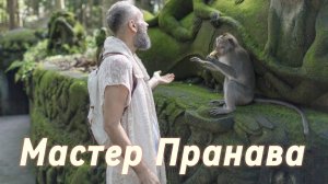 Сатсанг ответы на вопросы, Сборник 88. Мастер Пранава