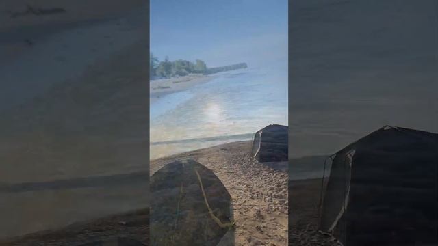 Шашлындос Бердская коса Новосибирск #шашлындос #новос смотреть онлайн