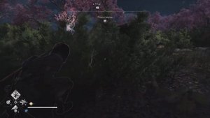 Assassin's Creed Shadows/PS5/Суми-Э Легендарный олень/Сезон Весна+Н