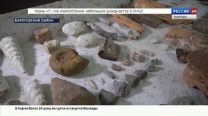 Под Белогорском обнаружили фрагмент кости динозавра, обитавшего в Крыму более 135 млн лет назад