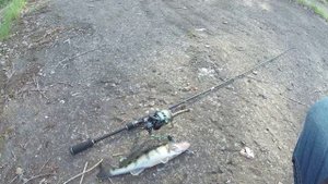 Бершик на джиг. Рыбалка на спиннинг - шлюзовой канал