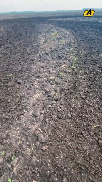 Обработка почвы после уборки культиватором SALFORD RTS 🍂? смотреть онлайн