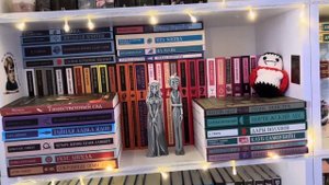 МОИ КНИЖНЫЕ ПОЛКИ/ небольшой обзор на мои стеллажи🩷?