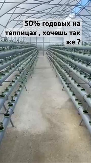 Теплицы бизнес инвестиции #инвестиции смотреть онлайн