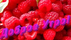 Утренний привет! С тёплыми пожеланиями
