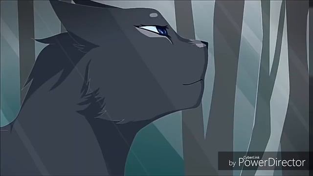 Коты воители клип ~ « Ты в нашем сердце » смотреть онлайн