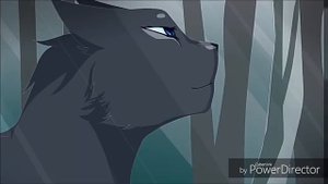 Коты воители клип ~ « Ты в нашем сердце »