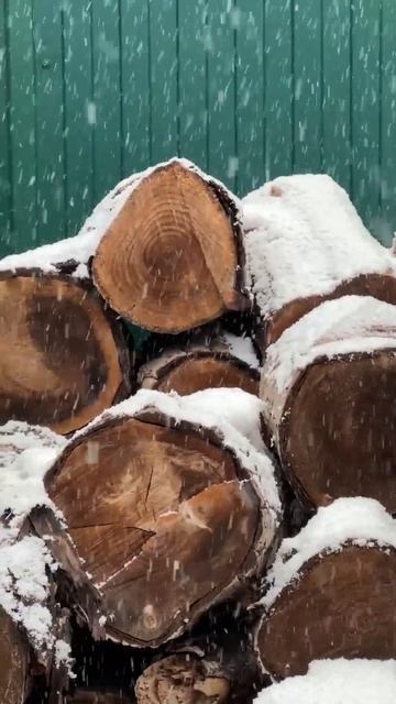 #снег #краснодар #зима #влог Краснодар | Идёт снег смотреть онлайн