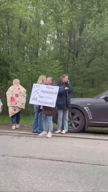 🫎Лосенок со сломанными ногами почти сутки лежит без помощи в Подмосковье🫎