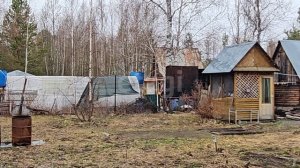 5877330 Грибное