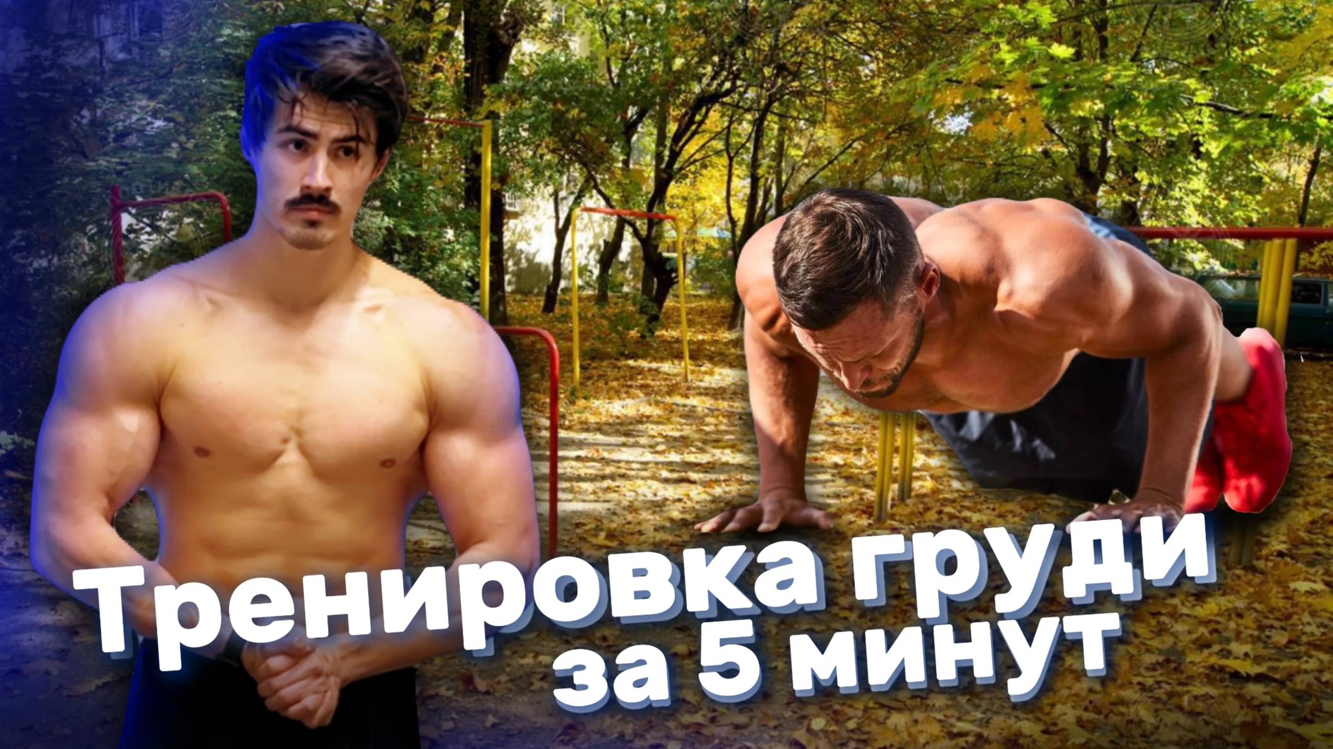 Тренировка ГРУДИ за 5 минут