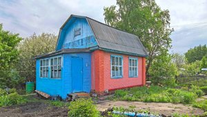 Большевичка