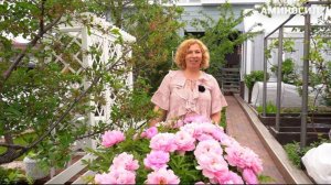 Май — время садовых забот и расцвета красоты 🌱🌸