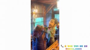 Артур Пирожков 8 905 781 55 25