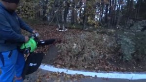 Как быстро убрать опавшие листья? Аккумуляторная возд