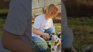 Дерево может погибнуть, если не залечите раны на стволе! Спасаем сад от рака