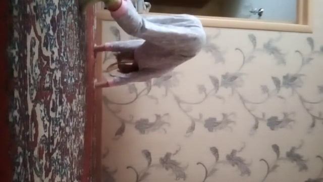 гимнастика стойка на руках смотреть онлайн