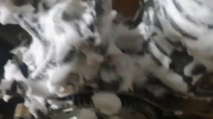 Ищу подсос воздуха на веломоторе.