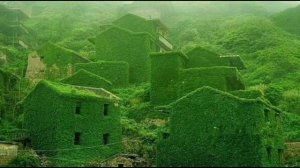 Хамхобаги бо зани худ аз кафо