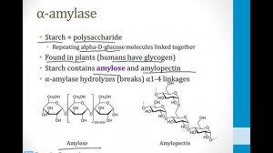 Gastroenterology - 2. GI Physiology - 5.Exocrine Pancreas atf