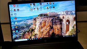 petal_20250519_222846.mp4