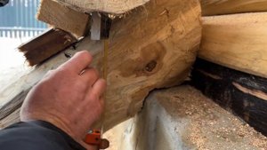 Ступени из бревна дуба? ЛЕГКО! #ступени #деревообработ?