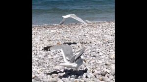 ФРАНЦИИ ПЛЯЖ ЭТРЕТА (Etretat) В НОРМАНДИИ .Красота природы, стоит посмотреть ❤️