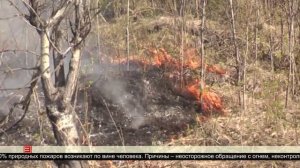 Действуют ограничения 16.05.2025