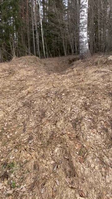 хороший был подвальчик#леснойскобарь#коп#металлоиска смотреть онлайн