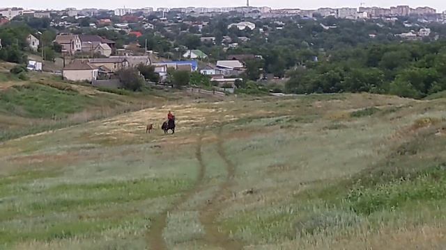 Скачу голопом смотреть онлайн