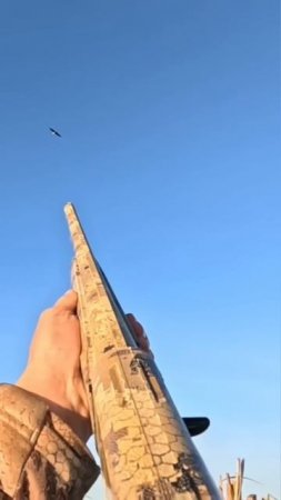 Лучшие выстрелы 🎯