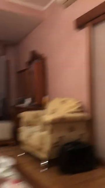Черный мини шпиц прикольно лает. Лай собаки. Смешные животные.