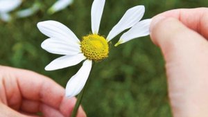 Ансамбль Сельские зори - Опоздала