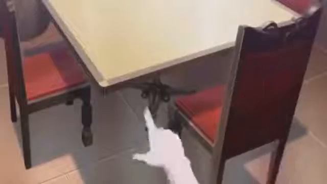 Стул,стол педафил смотреть онлайн