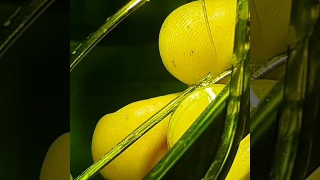 Лазерная пайка.Сочи смотреть онлайн