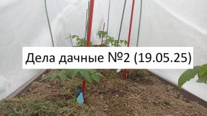 Дела дачные №2 (19.05.25)