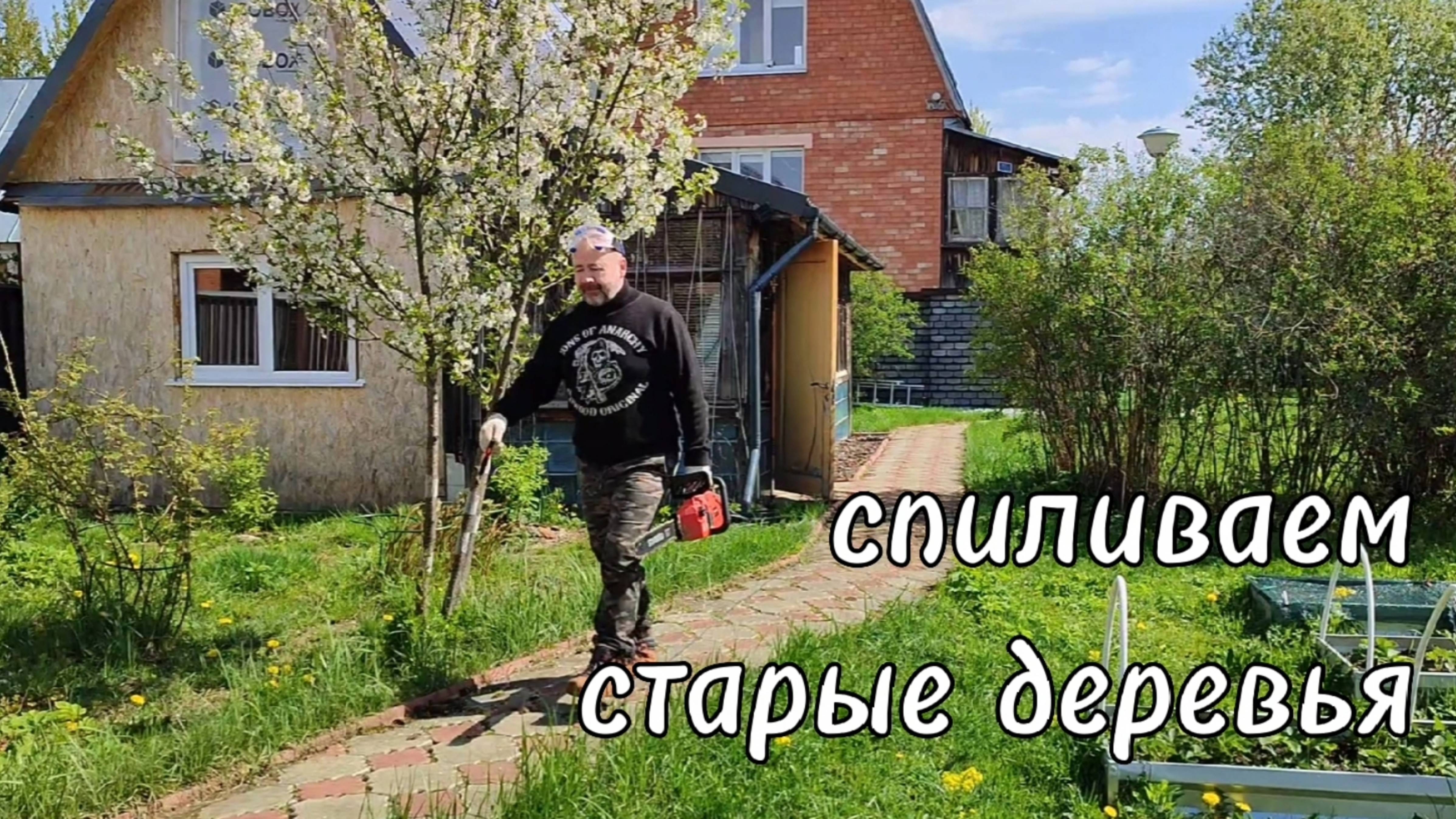 Уборка старых деревьев на участке