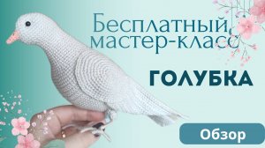 Бесплатный мастер-класс по вязанию игрушки амигуруми крючком. Вяжем голубя просто. Обзор
