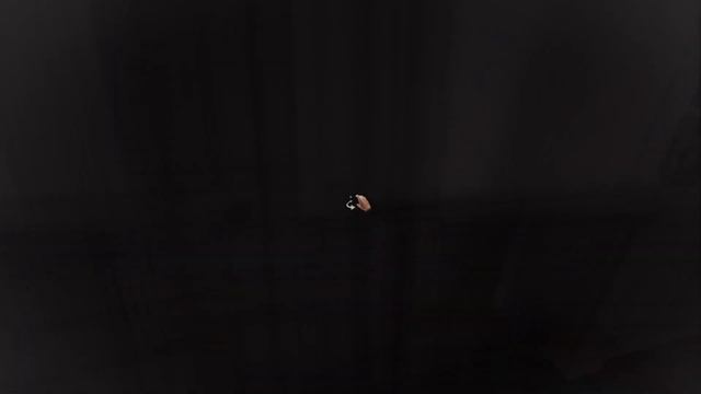 Amnesia: Rebirth 2 - Тёмное царство