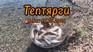 Летняя рыбалка 2025 Тептярги Ловля Чебака Фидер
