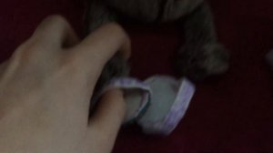 БАСИК РАСПАКОВЫВАЕТ БОКС С ПОДАРКАМИ|РАСПАКОВКА/ОБЗО?
