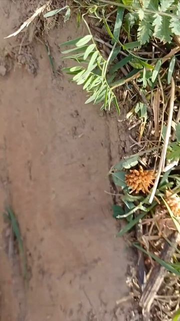 Литые запчасти #металл #коп смотреть онлайн