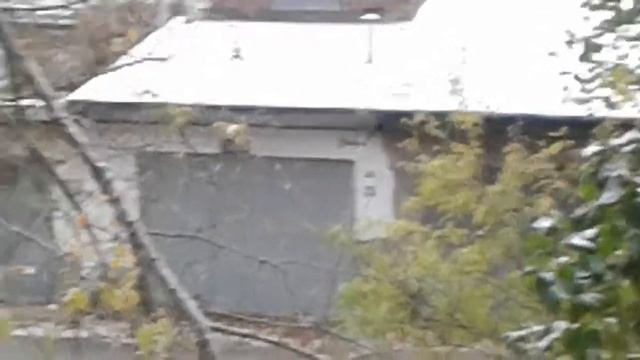 ПЕРВЫЙ СНЕГ  В РОСТОВЕ НА ДОНУ