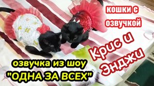 Кошки с озвучкой. Крис и Энджи из шоу "Одна за всех"