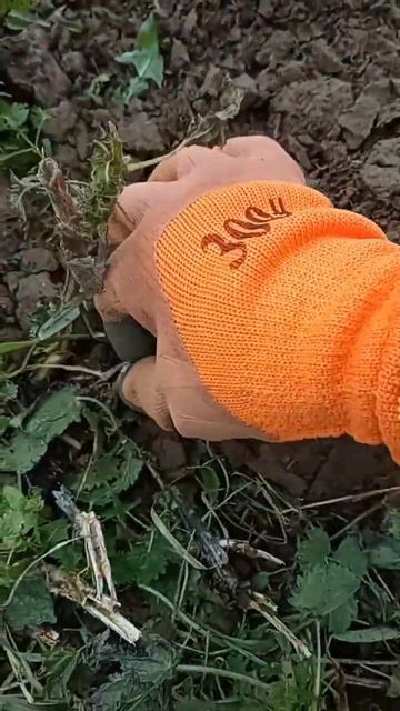 #коп #find #simplex #xp #камрад #garrett #металлоискатель #minelab #нах? смотреть онлайн