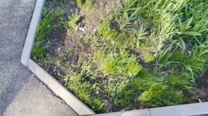 Первый выезд ну улице, пока по сухому
