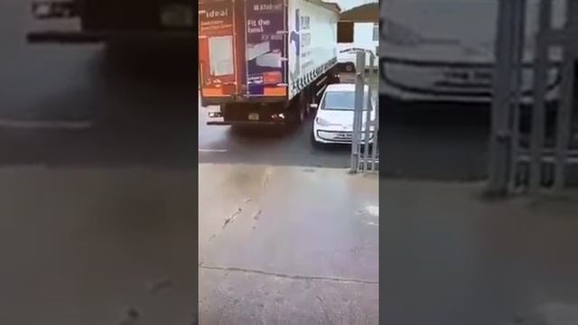 Слон в посудной лавке смотреть онлайн