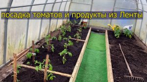 17-18.05 отпуск на даче // посадили рассаду //доставка из ленты // право на мечту