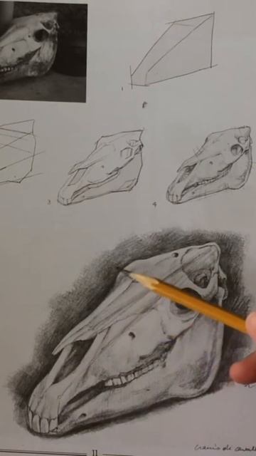 #shorts Анализируем рисунки книги Перспектива Джованни Ч смотреть онлайн